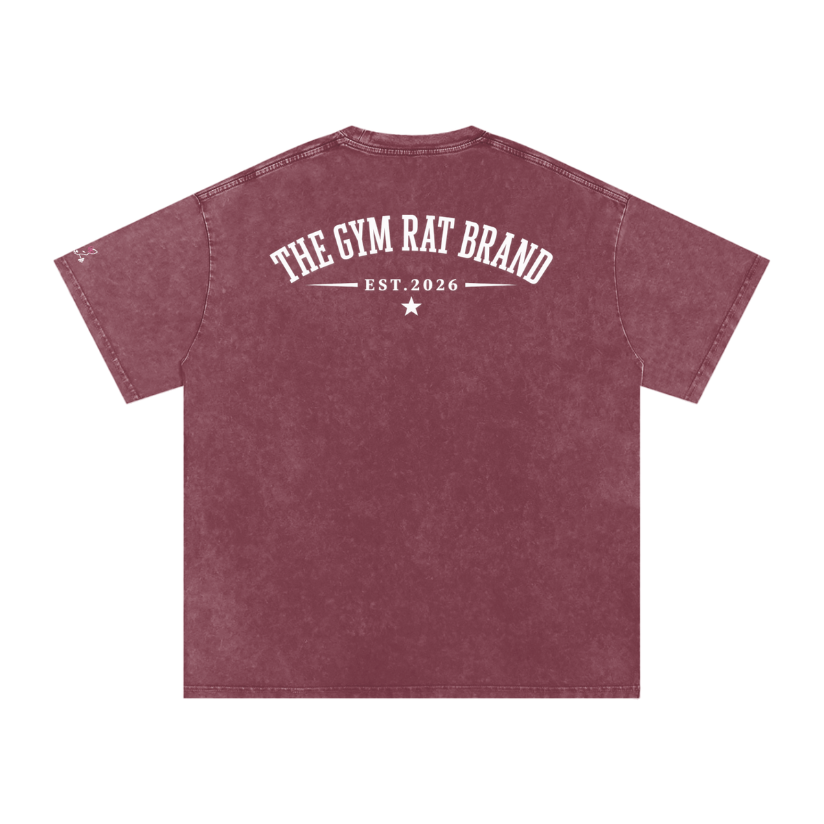Women’s The Gym Rat Brad Vintage Snow Wash Tee