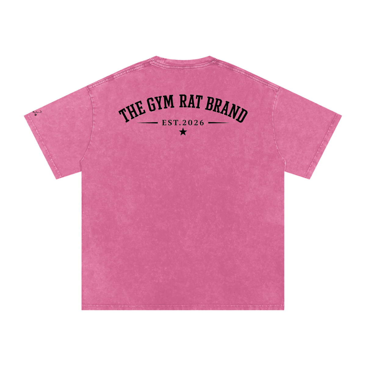 Women’s The Gym Rat Brad Vintage Snow Wash Tee