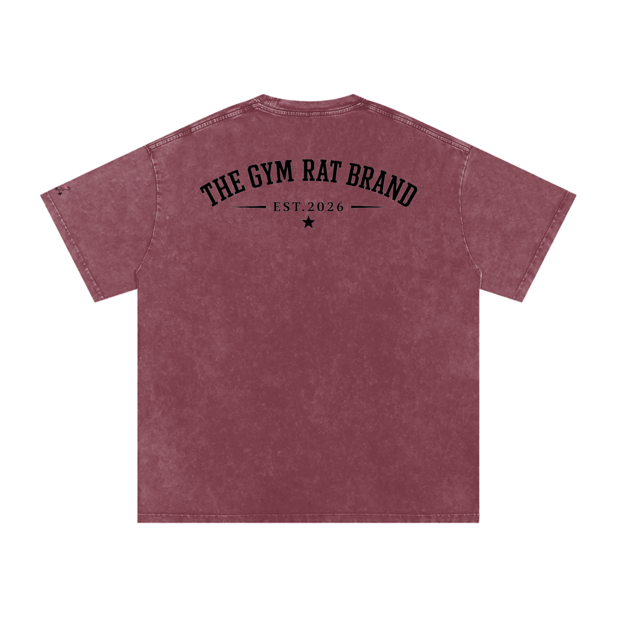 Women’s The Gym Rat Brad Vintage Snow Wash Tee