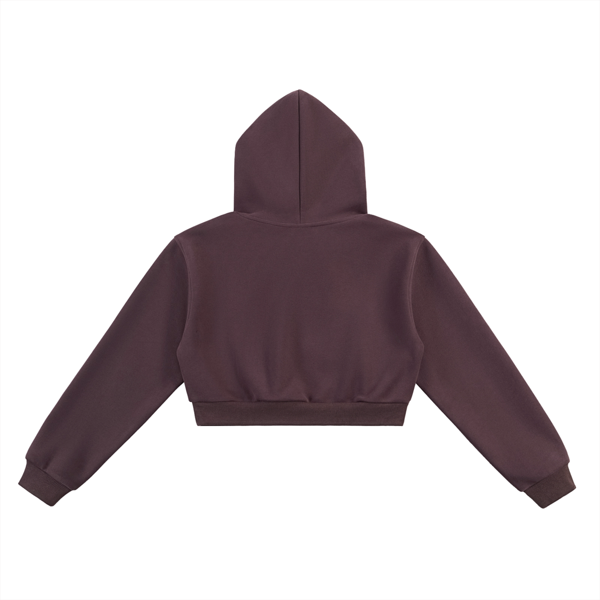 Women’s The Gym Rat Brand Varsity Heavyweight Cropped Hoodie