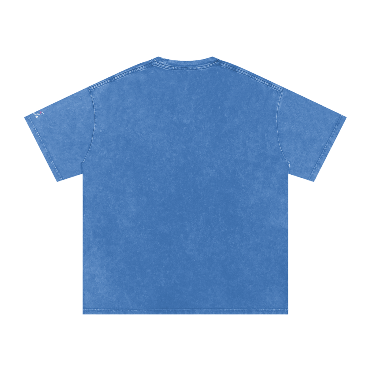 Women’s Oversize The Gym Rat Brad Drip Vintage Snow Wash Tee