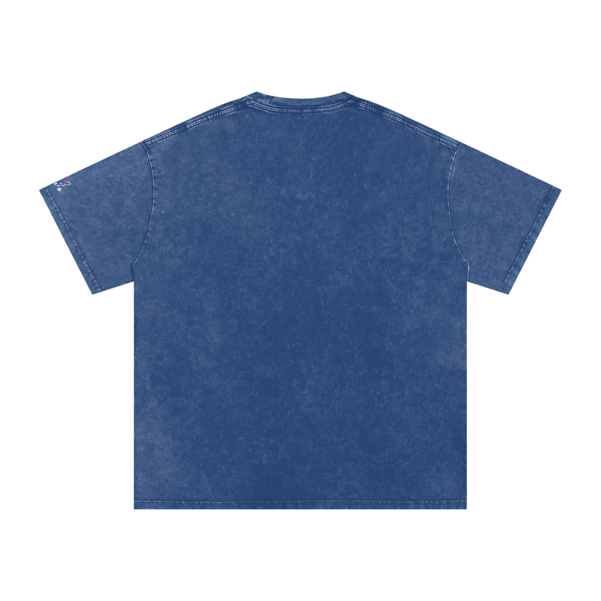 Women’s Oversize The Gym Rat Brad Drip Vintage Snow Wash Tee