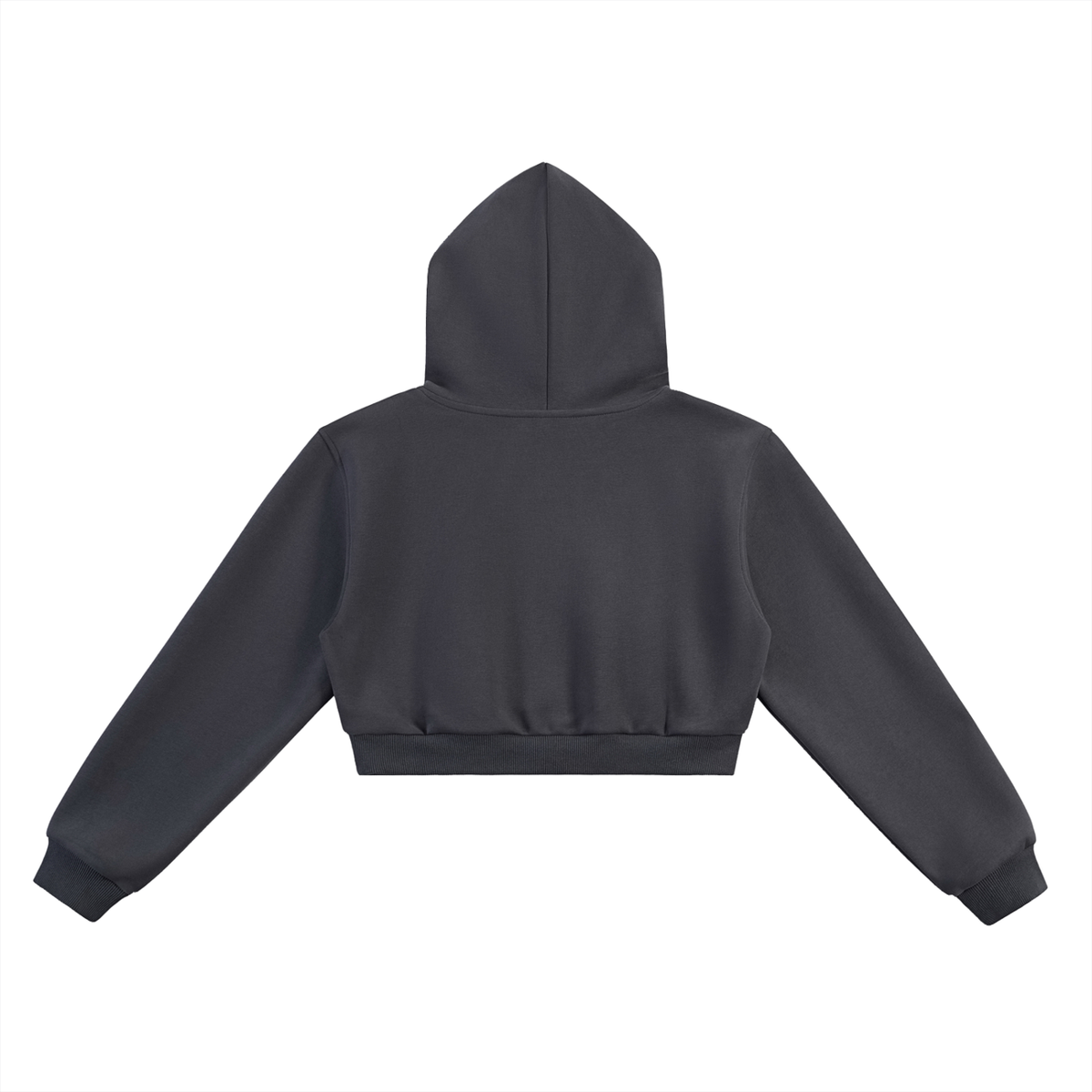 Women’s The Gym Rat Brand Varsity Heavyweight Cropped Hoodie
