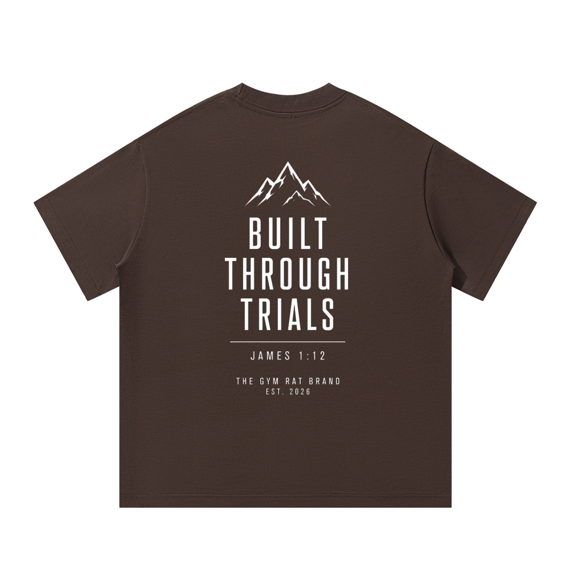 Men’s Armor of God Heavyweight Oversized Tee