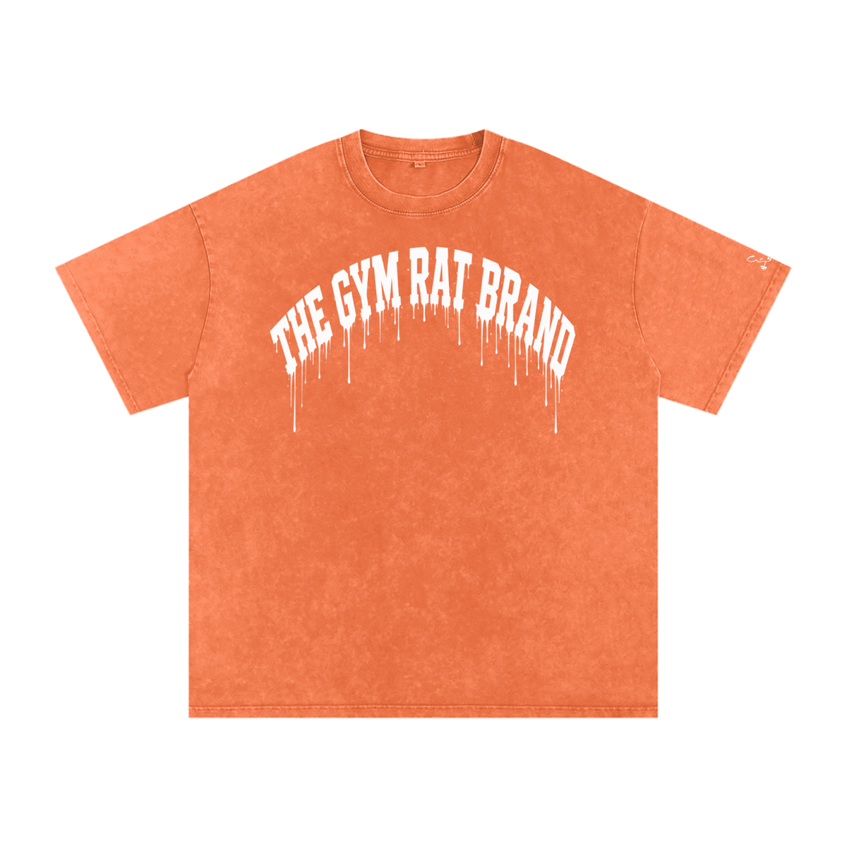 Women’s Oversize The Gym Rat Brad Drip Vintage Snow Wash Tee