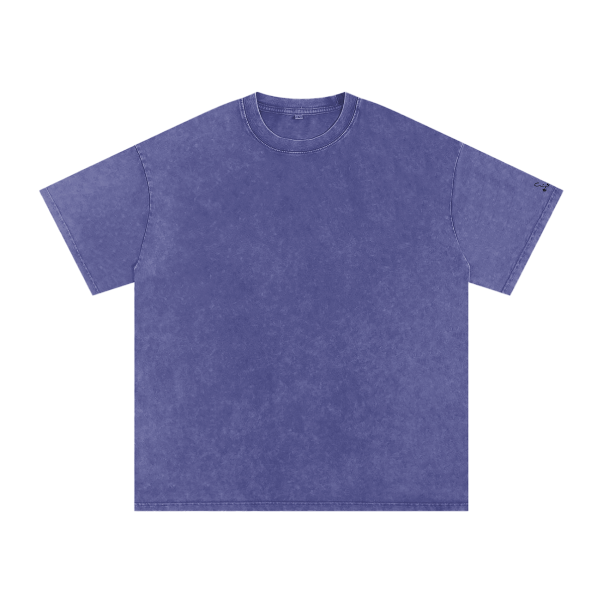 Women’s The Gym Rat Brad Vintage Snow Wash Tee