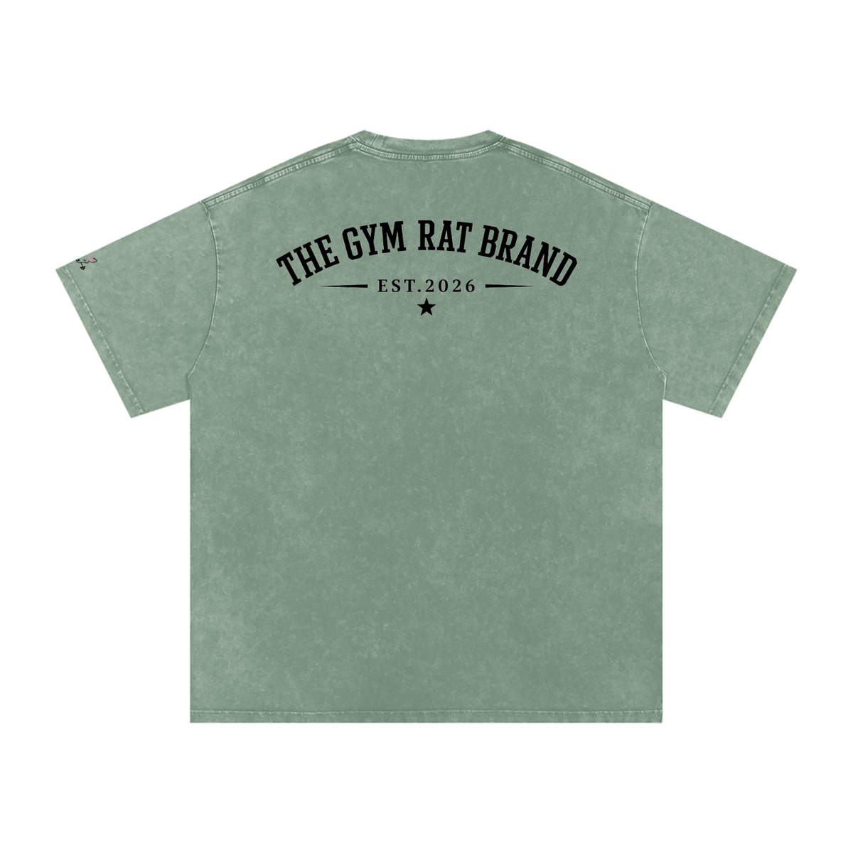 Women’s The Gym Rat Brad Vintage Snow Wash Tee