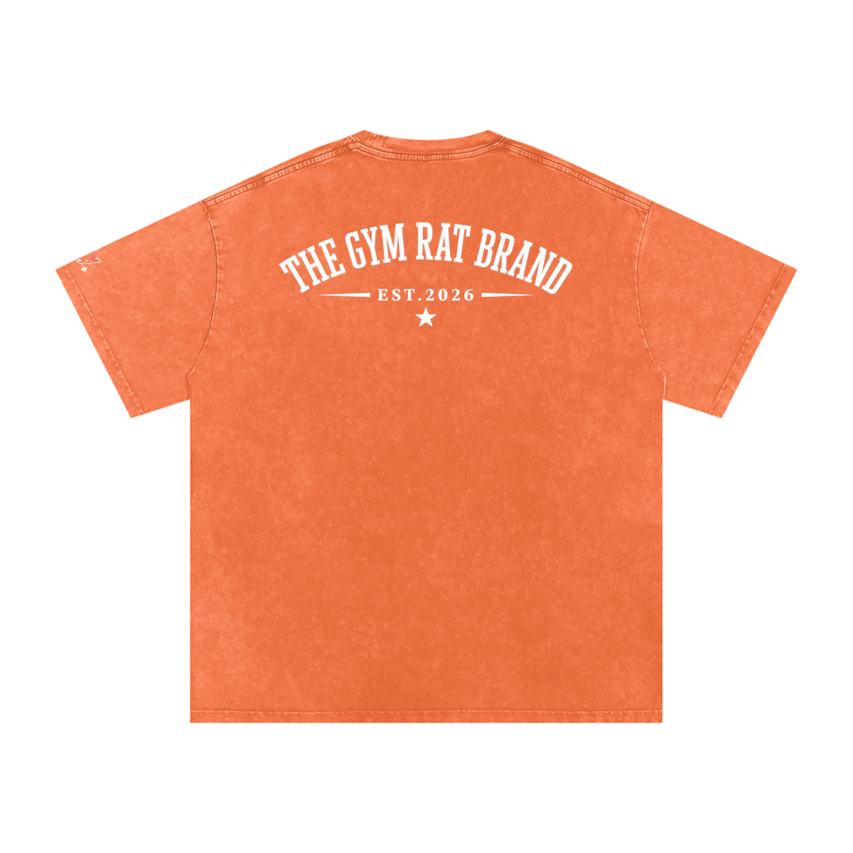 Women’s The Gym Rat Brad Vintage Snow Wash Tee