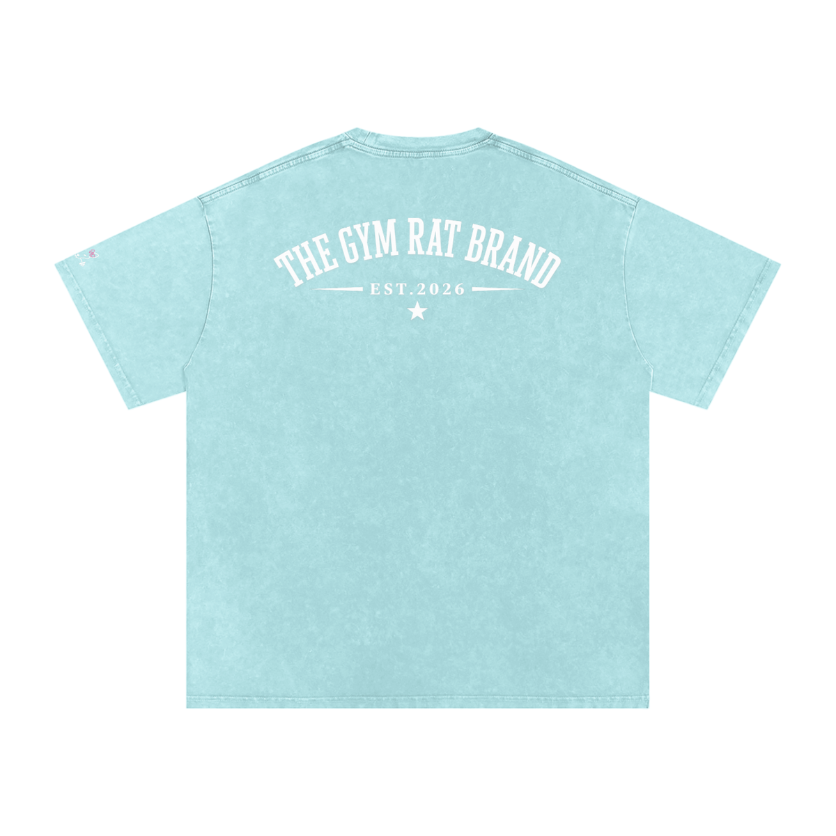 Women’s The Gym Rat Brad Vintage Snow Wash Tee