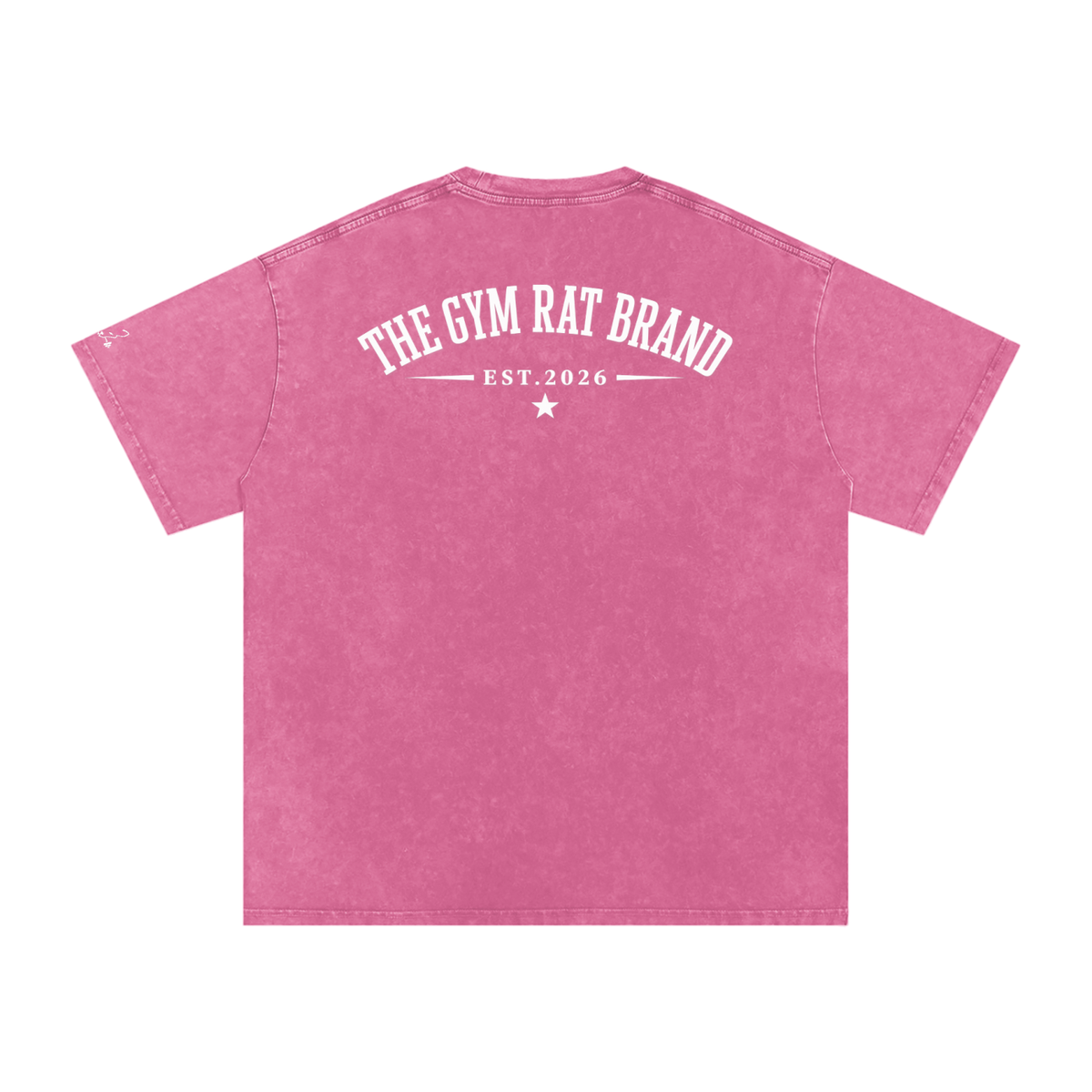 Women’s The Gym Rat Brad Vintage Snow Wash Tee