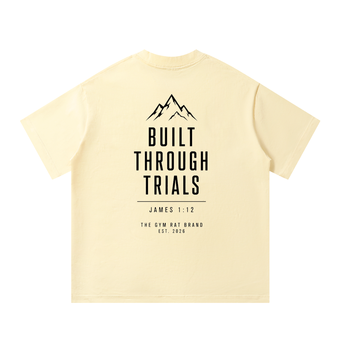 Men’s Armor of God Heavyweight Oversized Tee