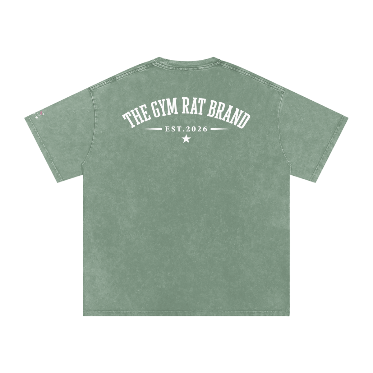 Women’s The Gym Rat Brad Vintage Snow Wash Tee
