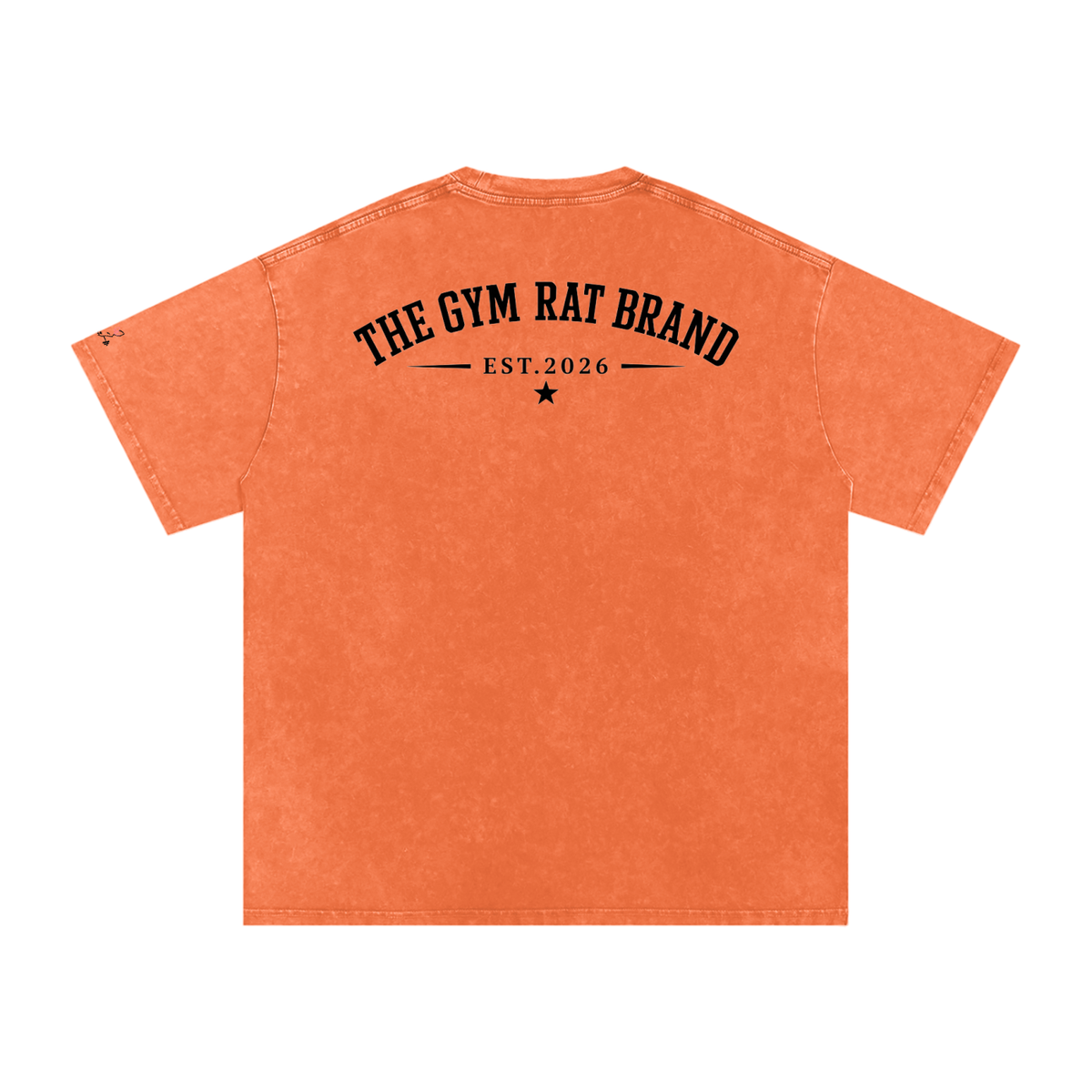 Women’s The Gym Rat Brad Vintage Snow Wash Tee