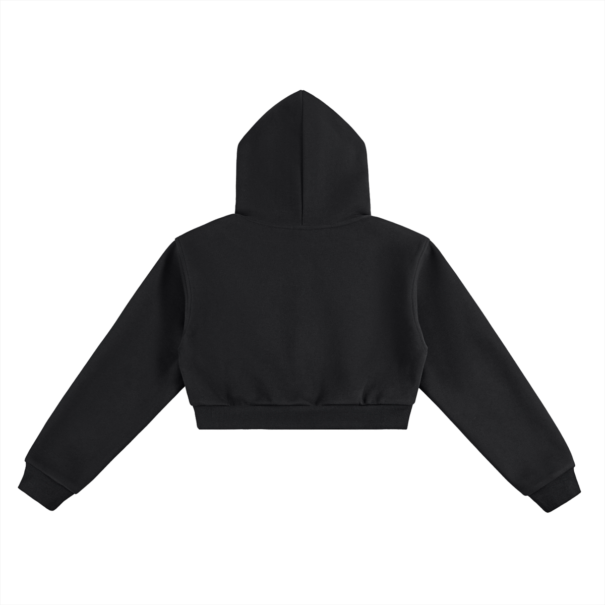 Women’s The Gym Rat Brand Varsity Heavyweight Cropped Hoodie