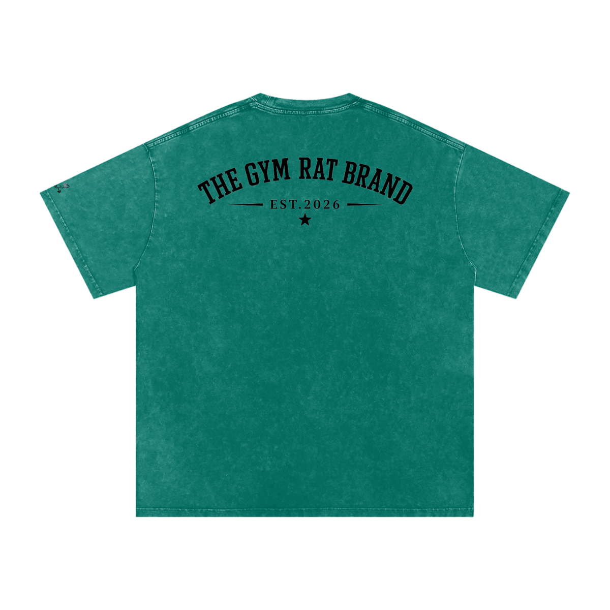 Women’s The Gym Rat Brad Vintage Snow Wash Tee