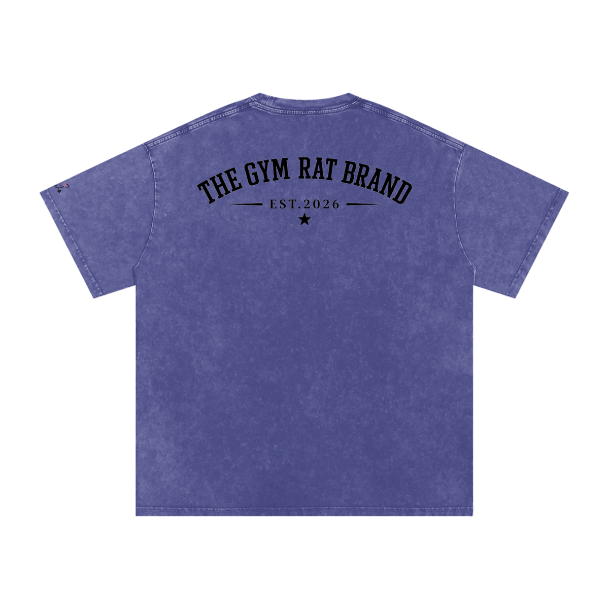 Women’s The Gym Rat Brad Vintage Snow Wash Tee